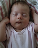 Profilbild Johanna Amalie Somogyi